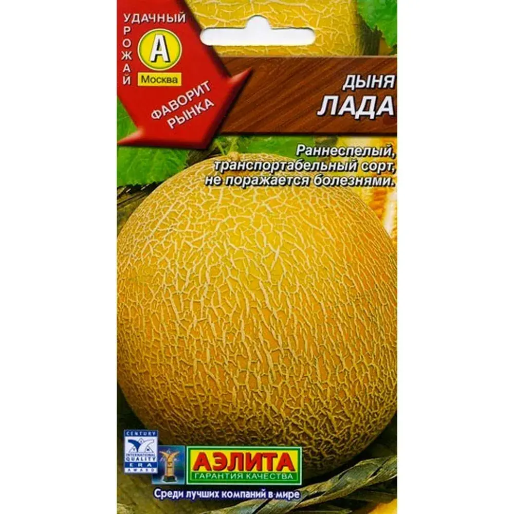 Амтат гуа - Дыня Лада
