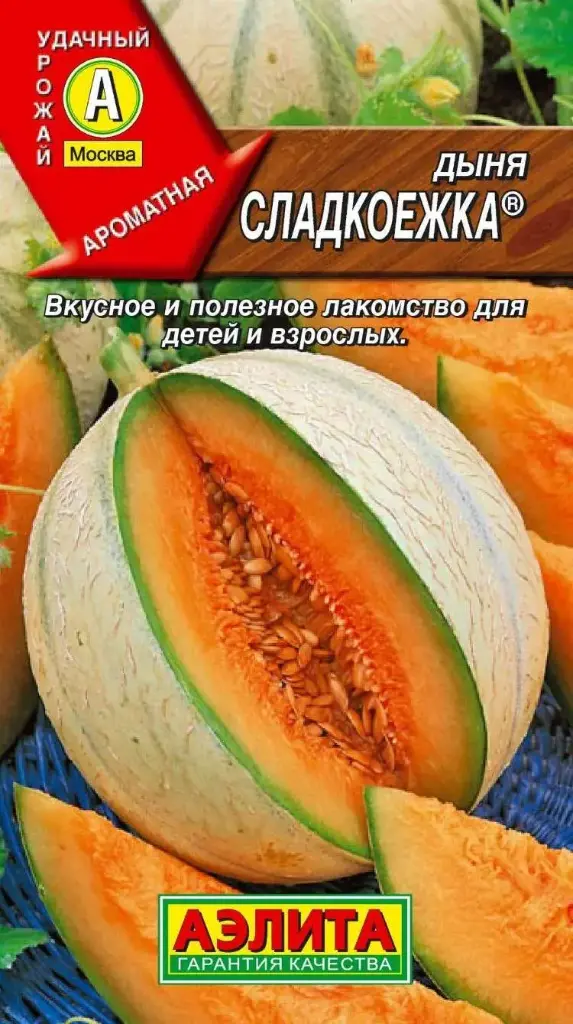 Амтат гуа - Дыня Сладкоежка