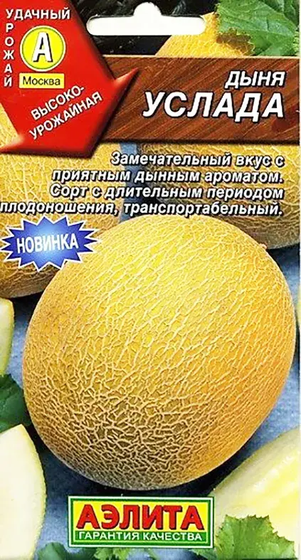Амтат гуа - Дыня Услада