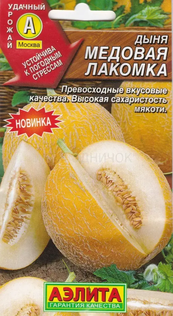 Амтат гуа - Дыня Медовая лакомка