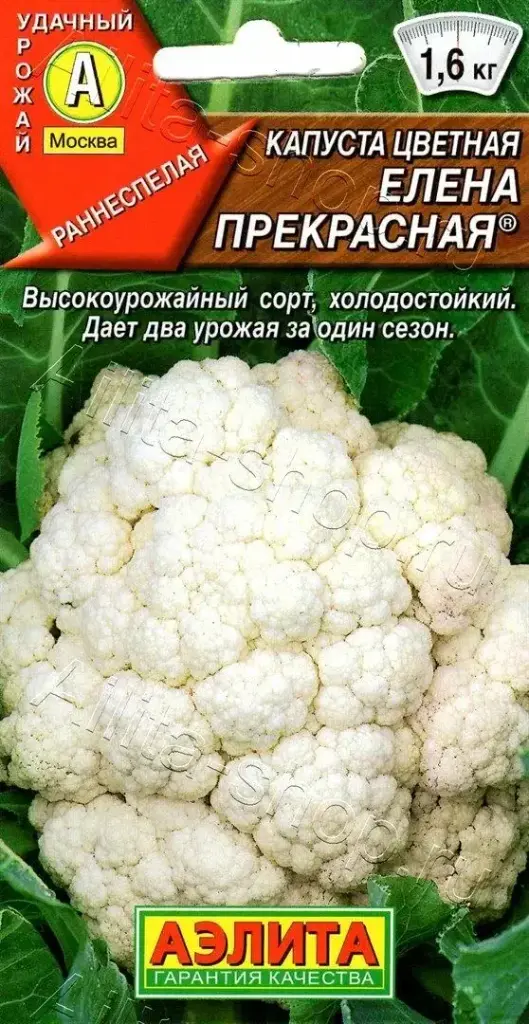 Цэцэгт байцай - Капуста цветная Елена Прекрасная