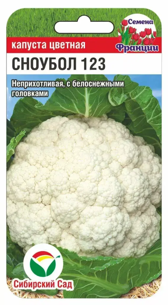 Цэцэгт байцай - Капуста цветная Сноуболл 9090