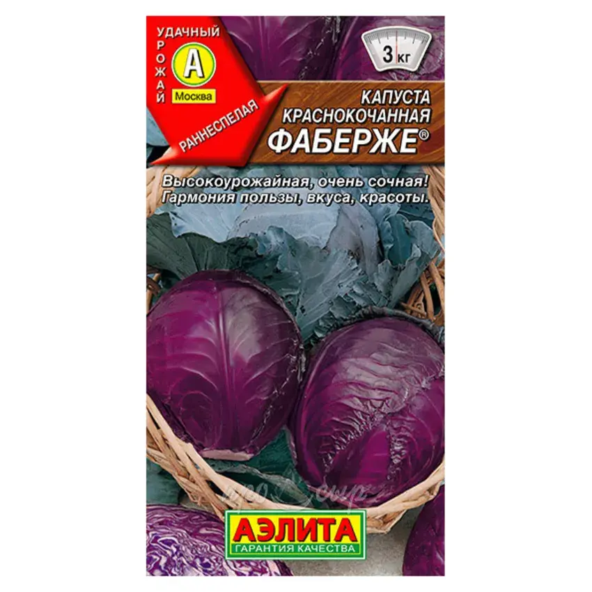 Хүрэн байцай - Капуста краснокочанная Фаберже