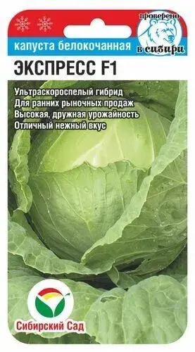 Байцай - Капуста б/к Экспресс F1