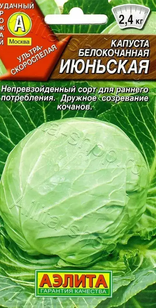 Байцай Капуста б/к Июньская