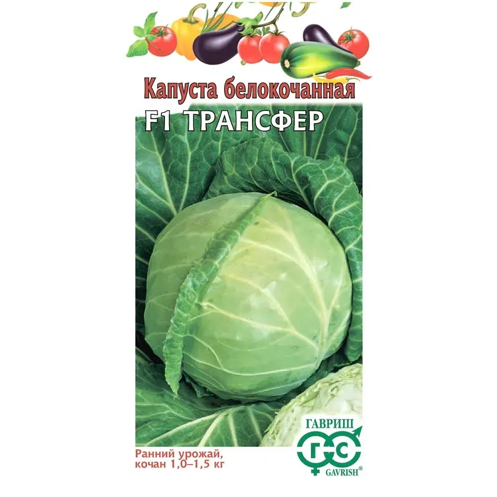 Байцай - КапустаТрансфер F1