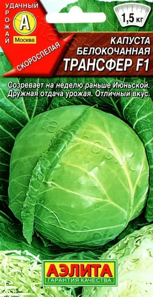 Байцай - Капуста б/к Трансфер F1