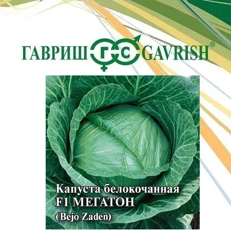 Байцай бөөрөнхий - Капуста белокочанная F1 Мегатон 