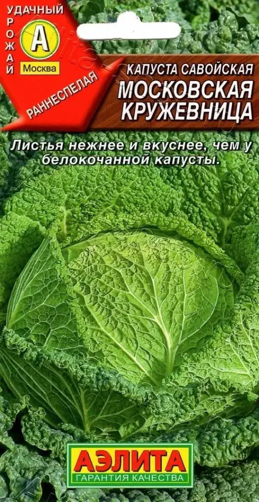 Байцай - Капуста Савойская Московская Кружевница 6062