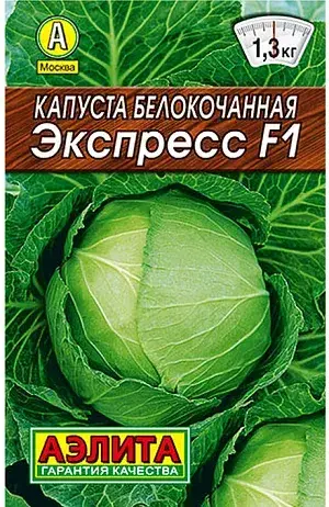 Байцай - Капуста белокочанная F1 Экспресс