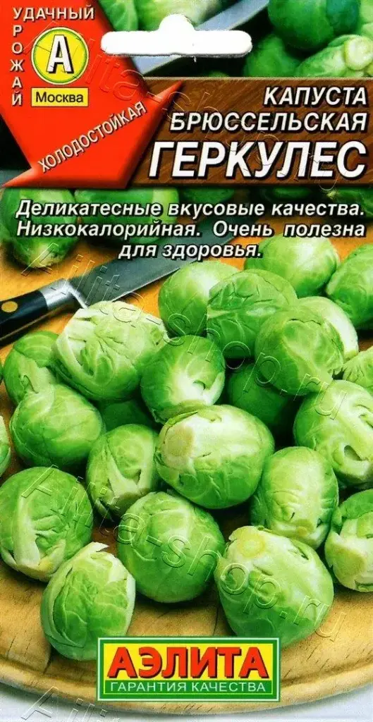 Байцай - Капуста брюссельская Геркулес