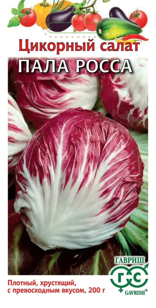 Байцай Цикорный салат Пала Росса