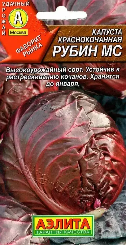 Байцай - Капуста краснокочанная Рубин МС