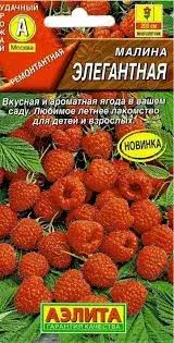 Бөөрөлзгөнө - Малина Элегантная