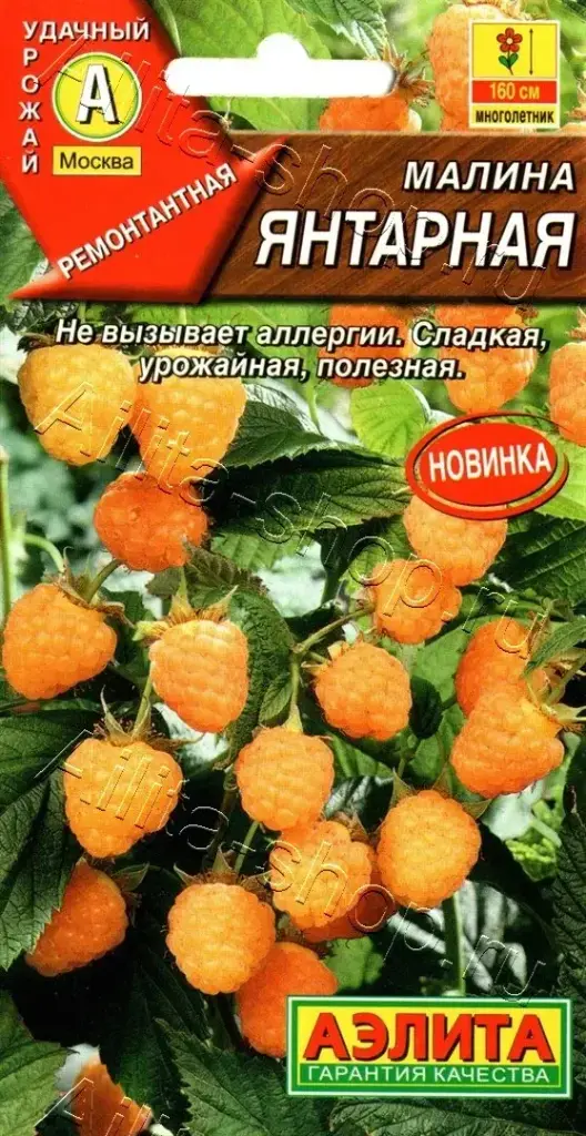 Бөөрөлзгөнө Малина Янтарная