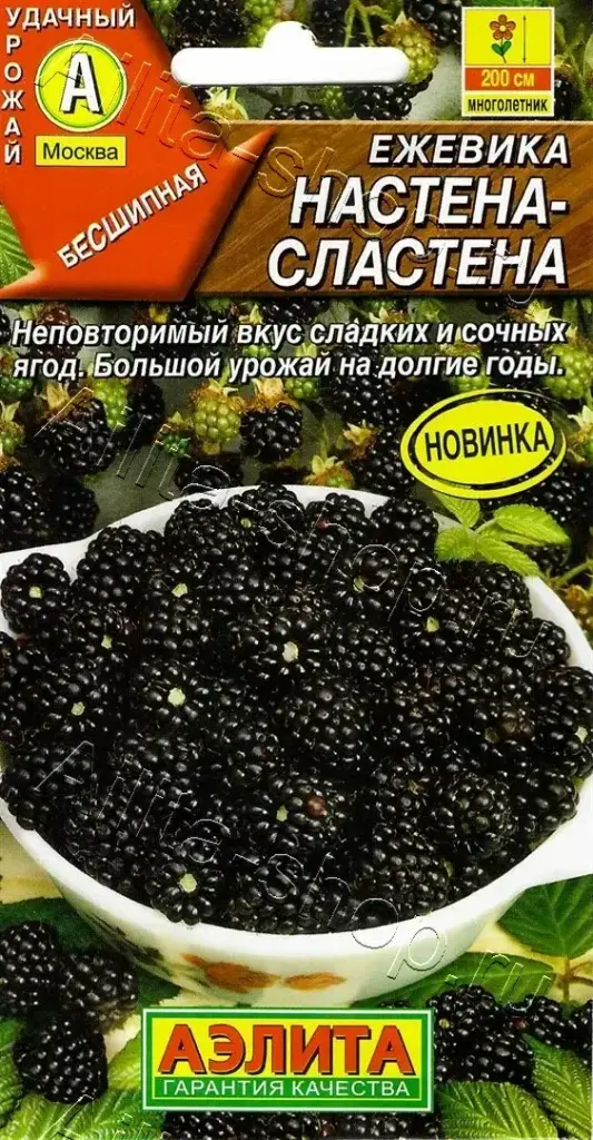 Бөөрөлзгөнө Ежевика Настена-сластена