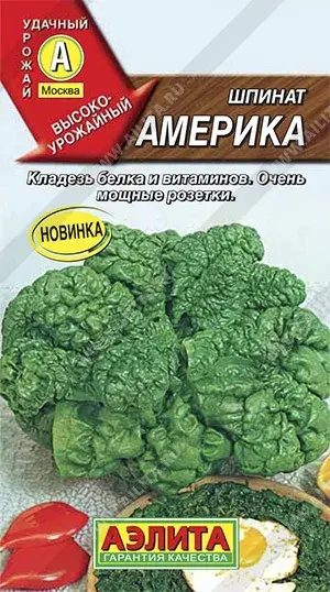 Бууцай - Шпинат Америка