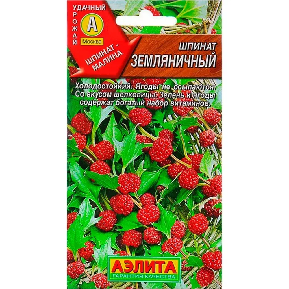 Гүзээлзгэнтэй бууцай - Шпинат Земляничный