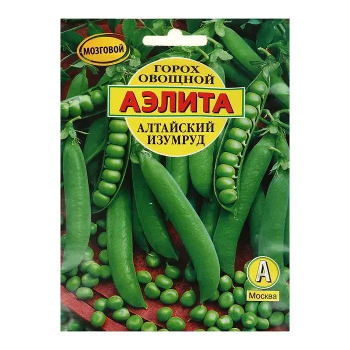Вандуй - Горох овощной Алтайский изумруд