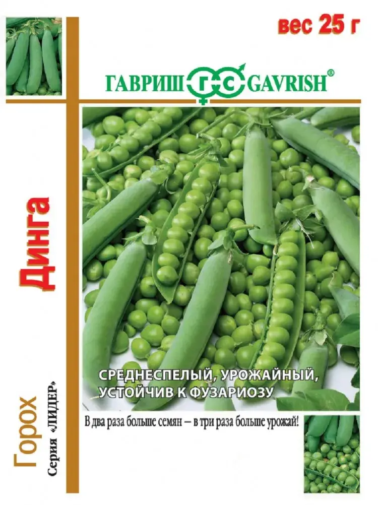 Вандуй - Горох Динга