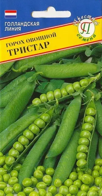 Вандуй - Горох Тристар