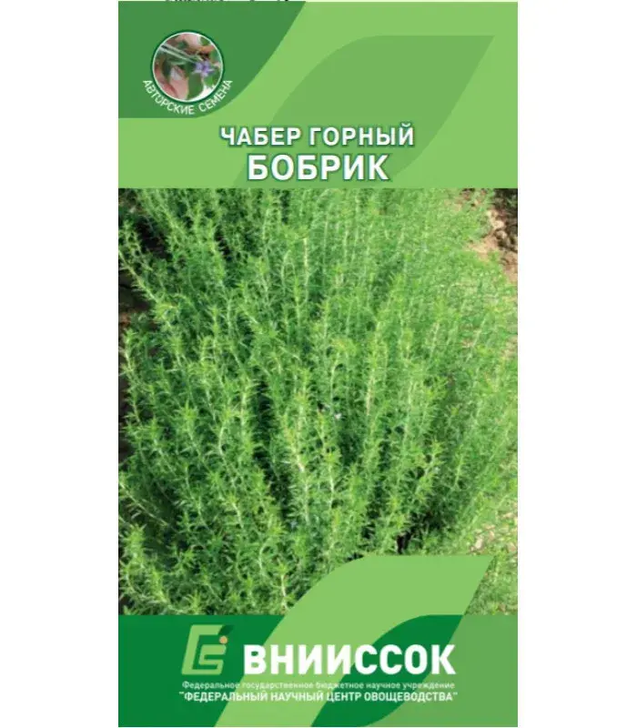 Гоньд Укроп Кустовой Салют