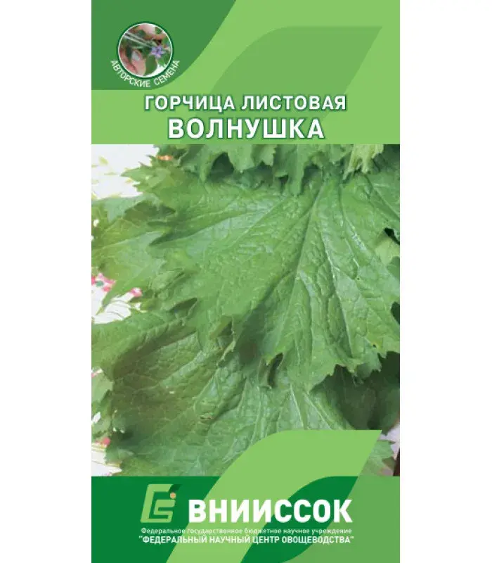 Горчица Листовая Волнушка