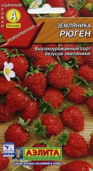 Гүзээлзгэнэ Земляника Рюген