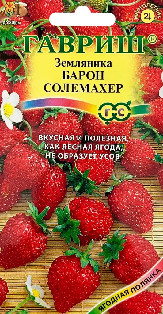 Гүзээлзгэнэ - Земляника Барон солемахер