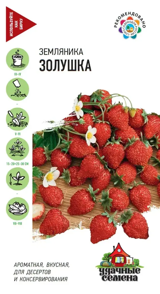 Гүзээлзгэнэ Земляника Золушка
