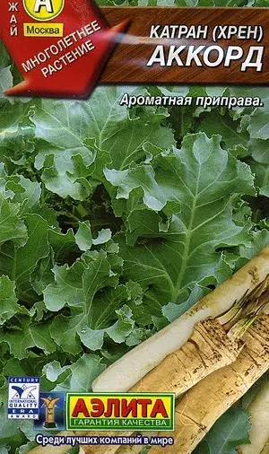 Катран (хрен) Аккорд