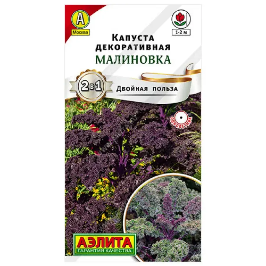 Капуста декоративная Малиновка