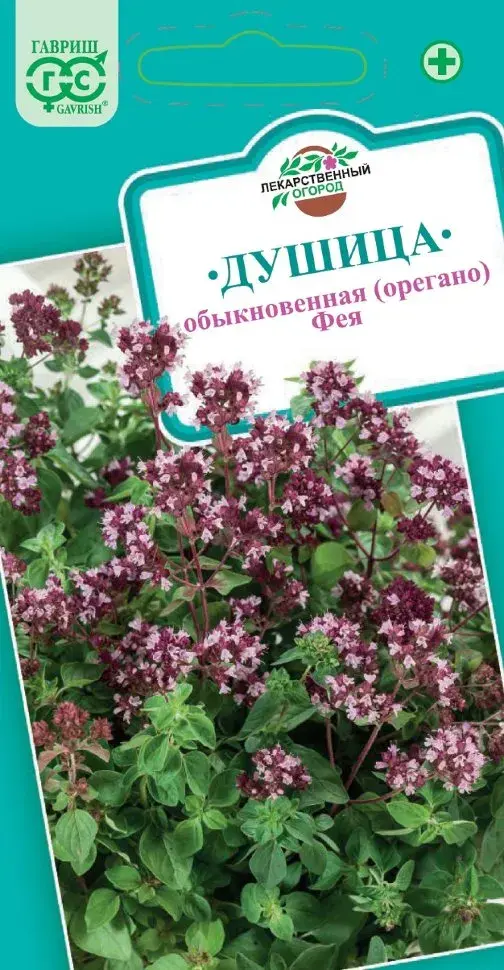 Душица обыкновенная ( Орегано)  Фая