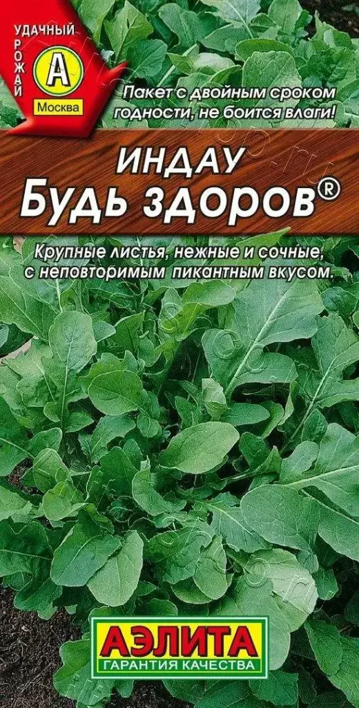 Индау (руккола) Будь здоров