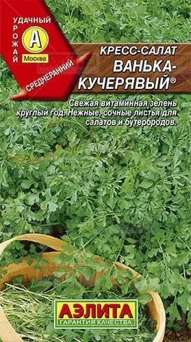 Кресс-салат Ванька кучерявый