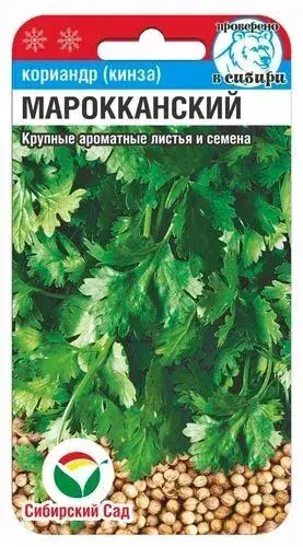 Кориандр Мароканский