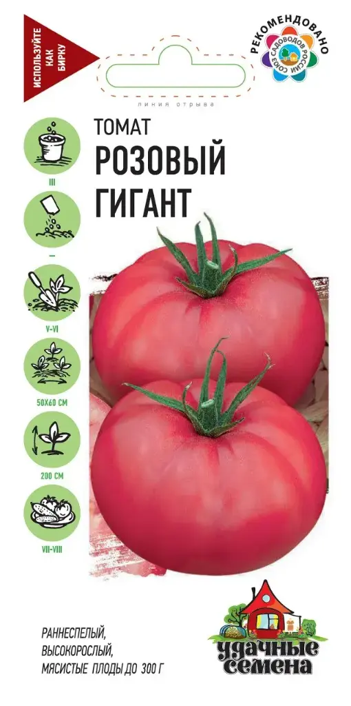 Лооль Розовый Гигант
