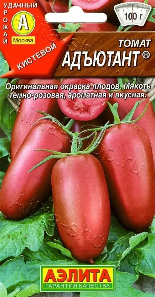 Лооль Томат Адъютант