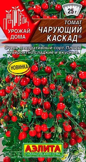 Лооль Томат Чарующий каскад