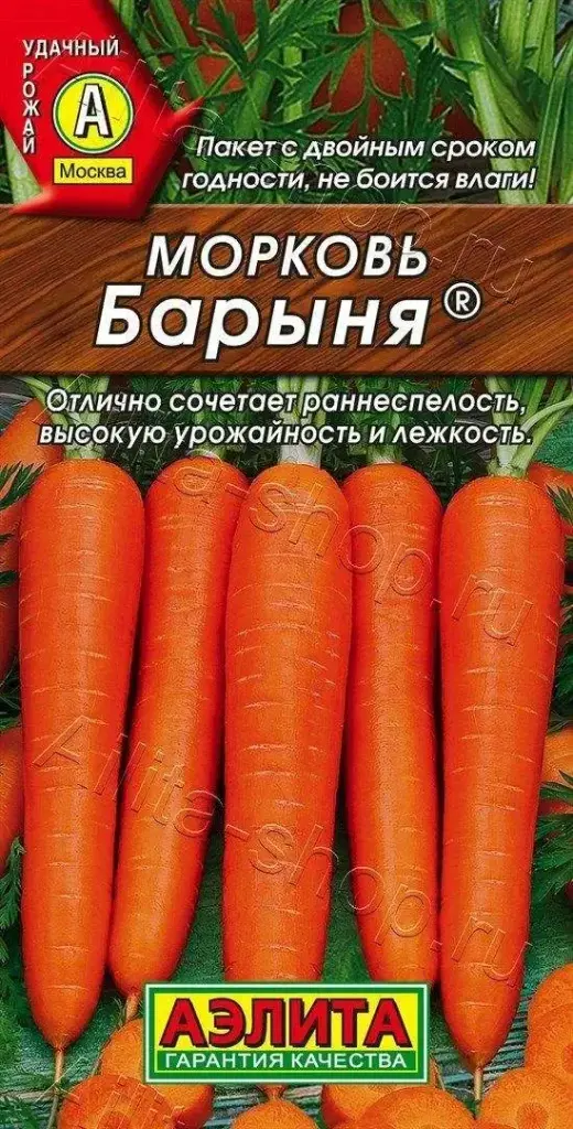 Лууван Морковь Барыня