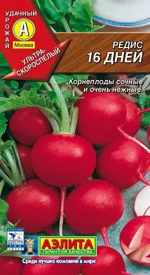 Улаан лууван Редис 16 дней 