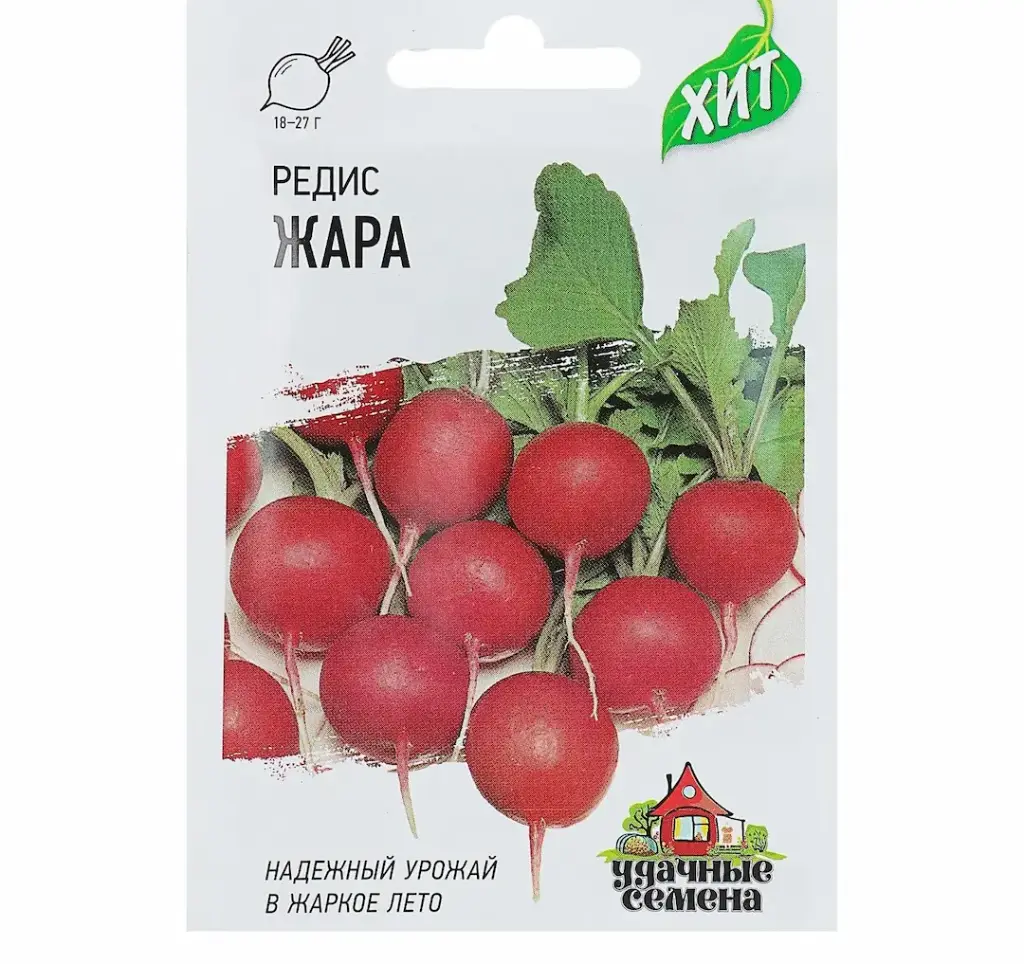 Улаан лууван Редис Жара 