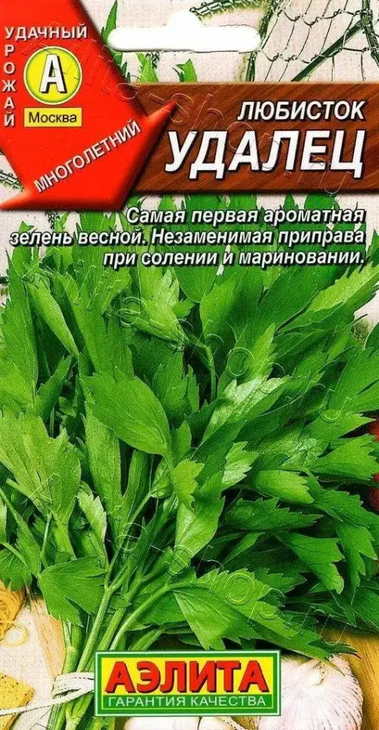 Любисток Удалец