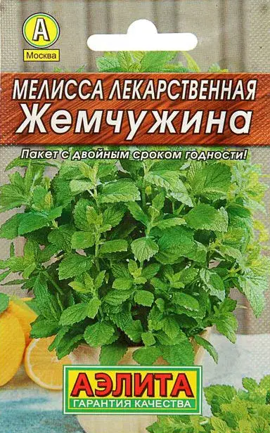 Мелисса лекарственная Жемчужина
