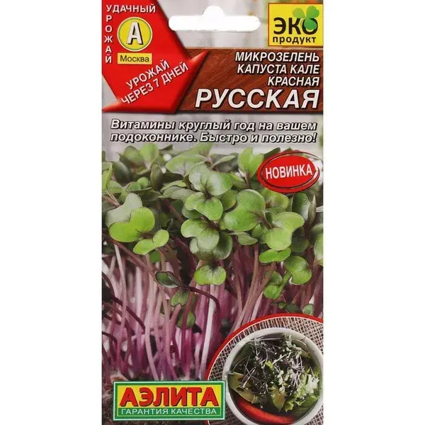 Нялх соёолж Микрозелень Капуста кале Красная русская