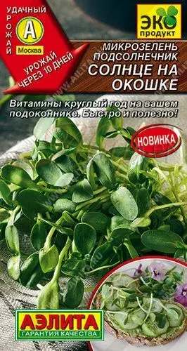 Нялх соёолж Микрозелень Подсолнечник Солнце на окошке