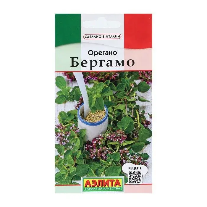 Орегано Бергамо (2025; 17.452.01 /2)