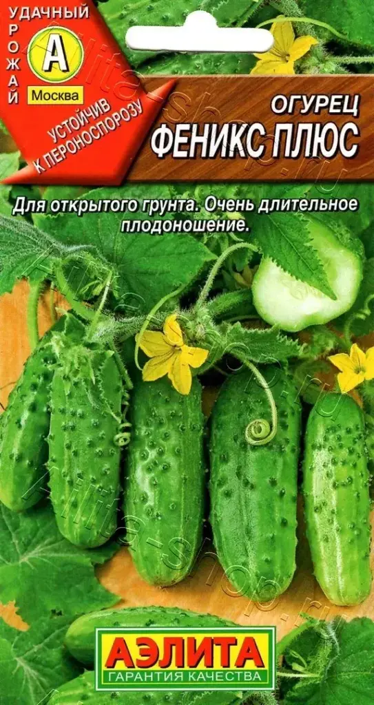 Өргөст хэмх Огурец Феникс Плюс - Аэлита