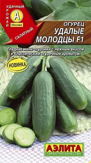 Өргөст хэмх Огурец Удалые молодцы F1 - Аэлитэ