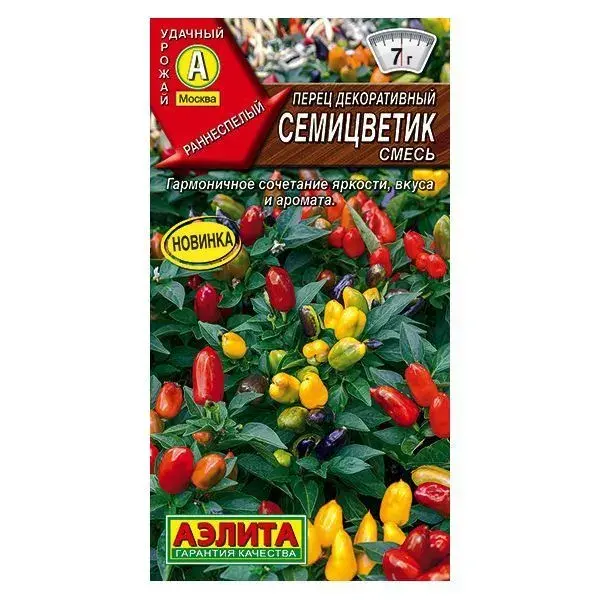 Перец декоративный Семицветик